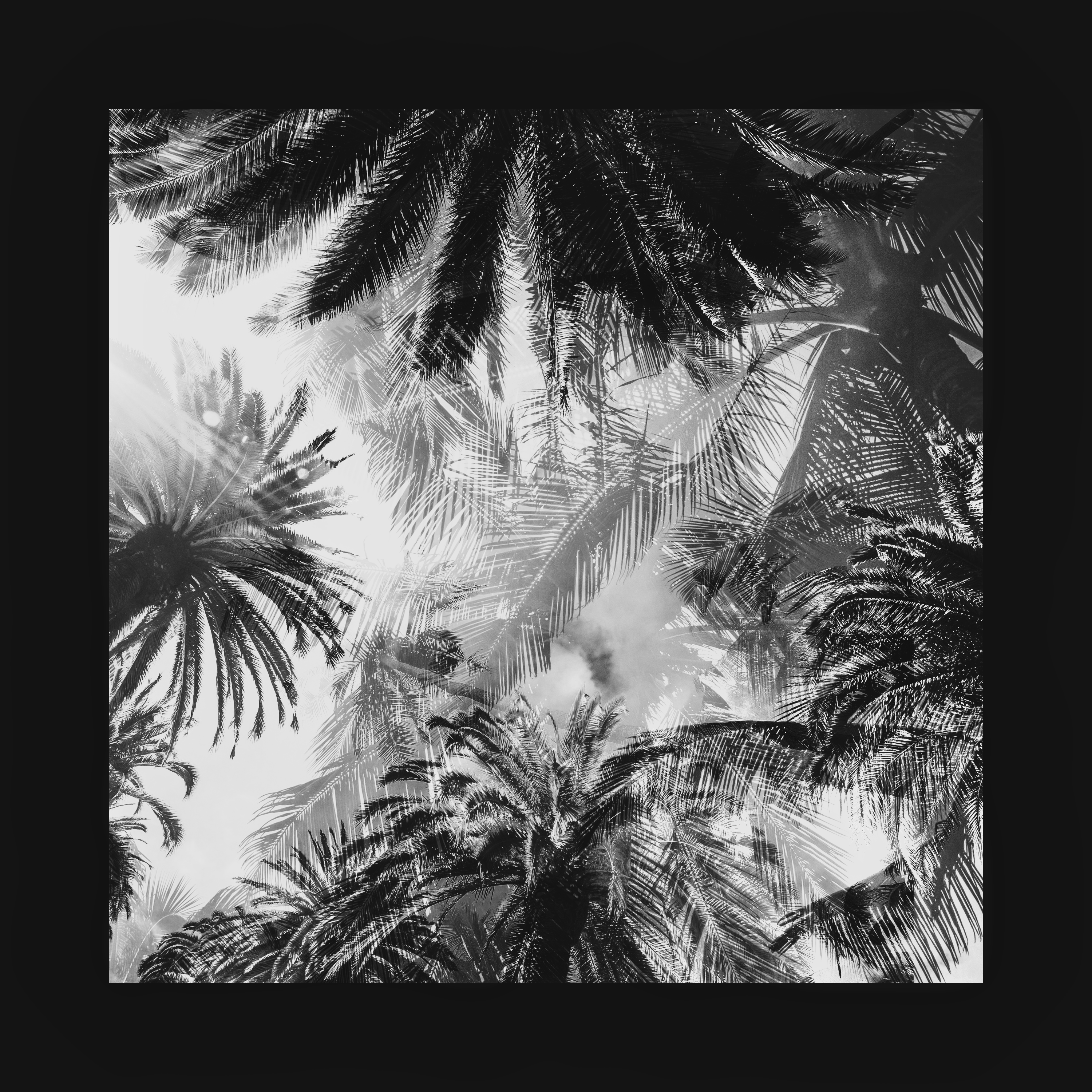 Tropical Sky
